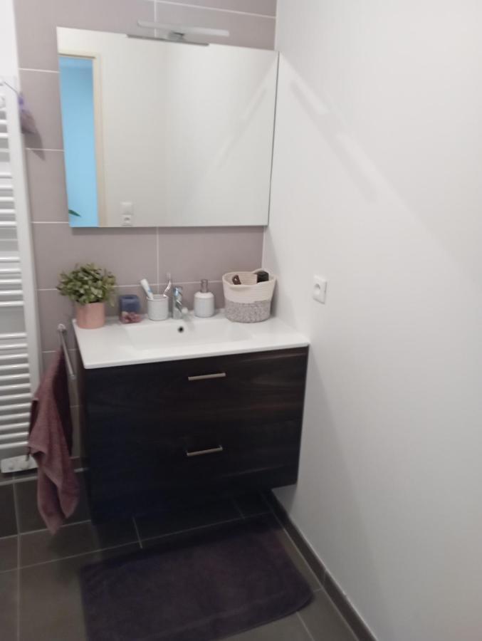 Chambre Nature Chez L'Habitant Strasburg Zewnętrze zdjęcie
